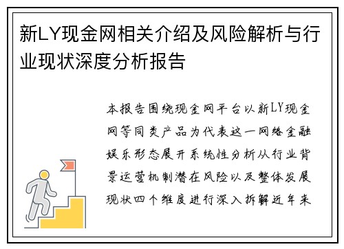 新LY现金网相关介绍及风险解析与行业现状深度分析报告